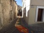 infiorata (32)